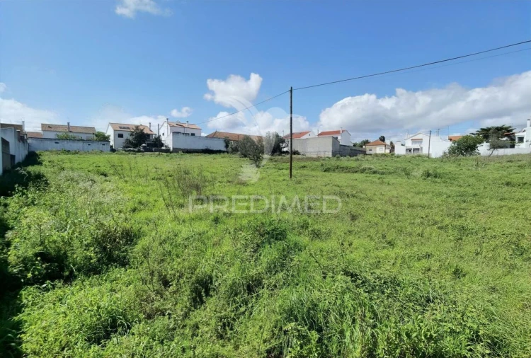 Terreno para Venda em São Vicente do Paul e Vale de Figueira Foto 26