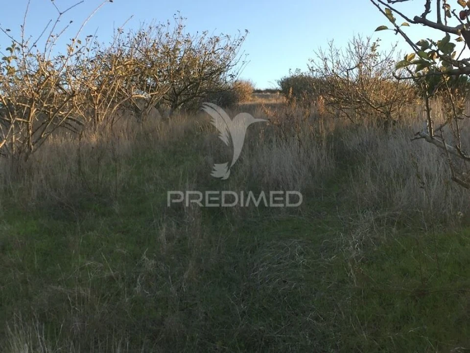 Terreno para Venda em Lourinhã e Atalaia Foto 1