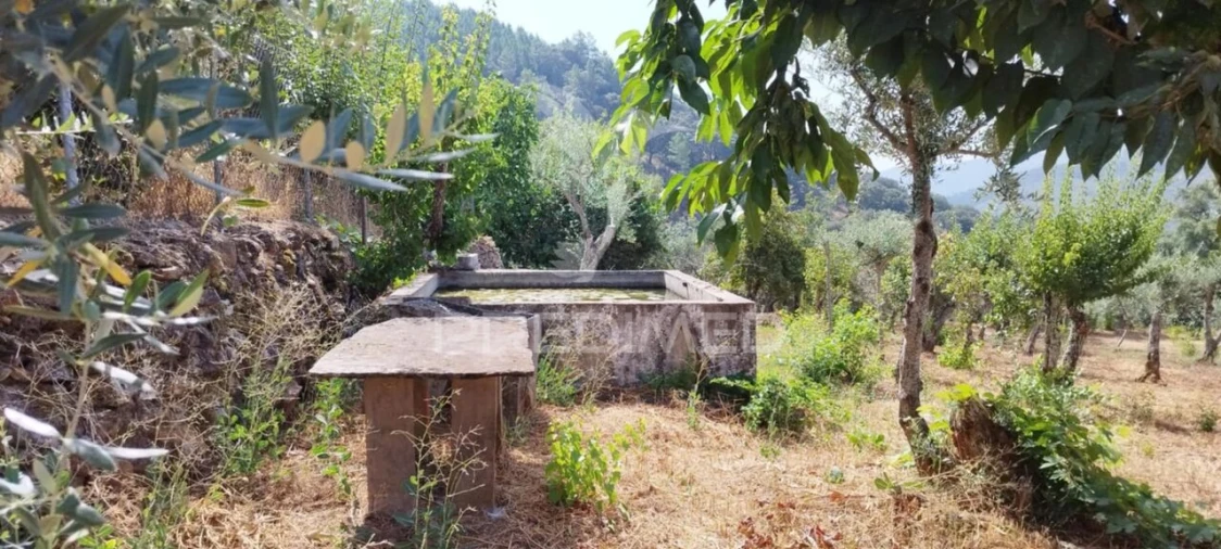 Quinta T2 para Venda em Reguengo e São Julião Foto 9