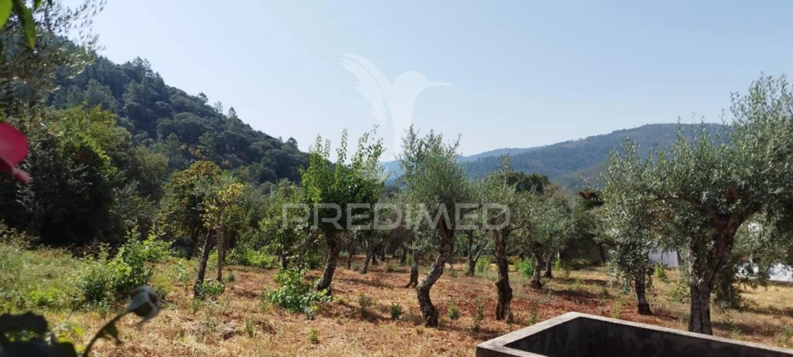 Quinta T2 para Venda em Reguengo e São Julião Foto 4