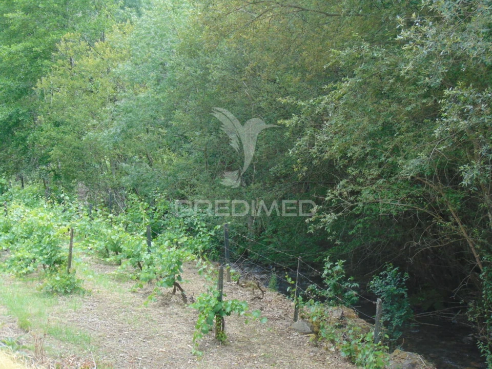 Quinta T0 para Venda em Louredo e Fornelos Foto 23