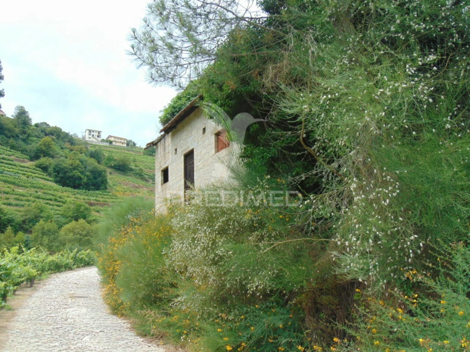 Quinta T0 para Venda em Louredo e Fornelos Foto 6