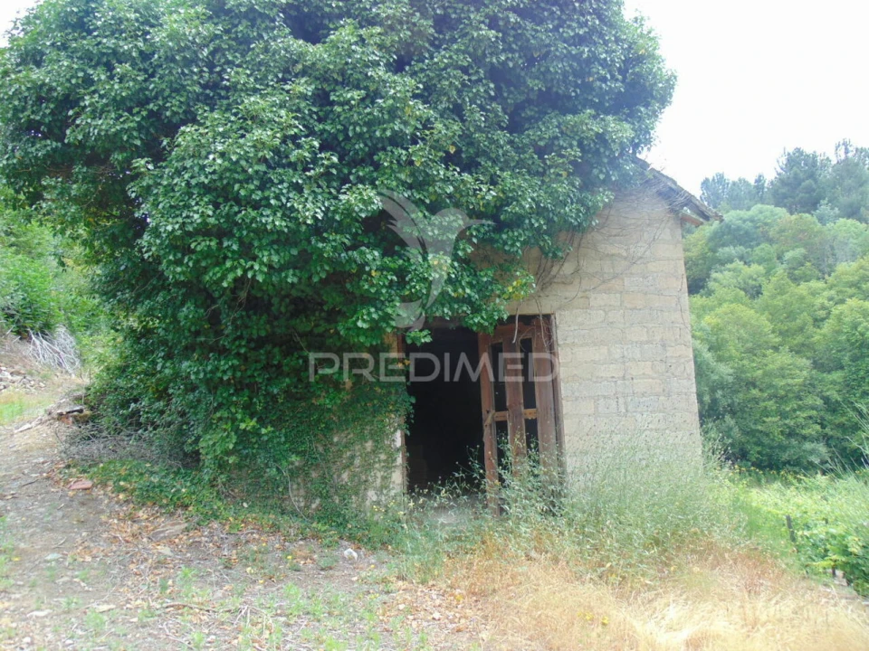 Quinta T0 para Venda em Louredo e Fornelos Foto 8