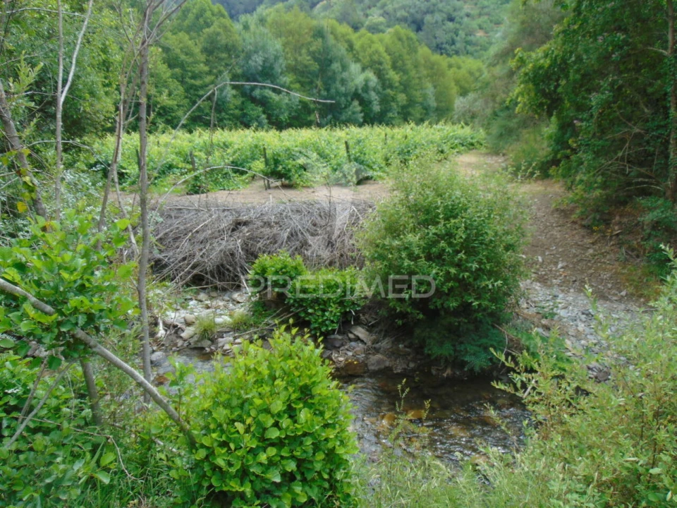 Quinta T0 para Venda em Louredo e Fornelos Foto 22