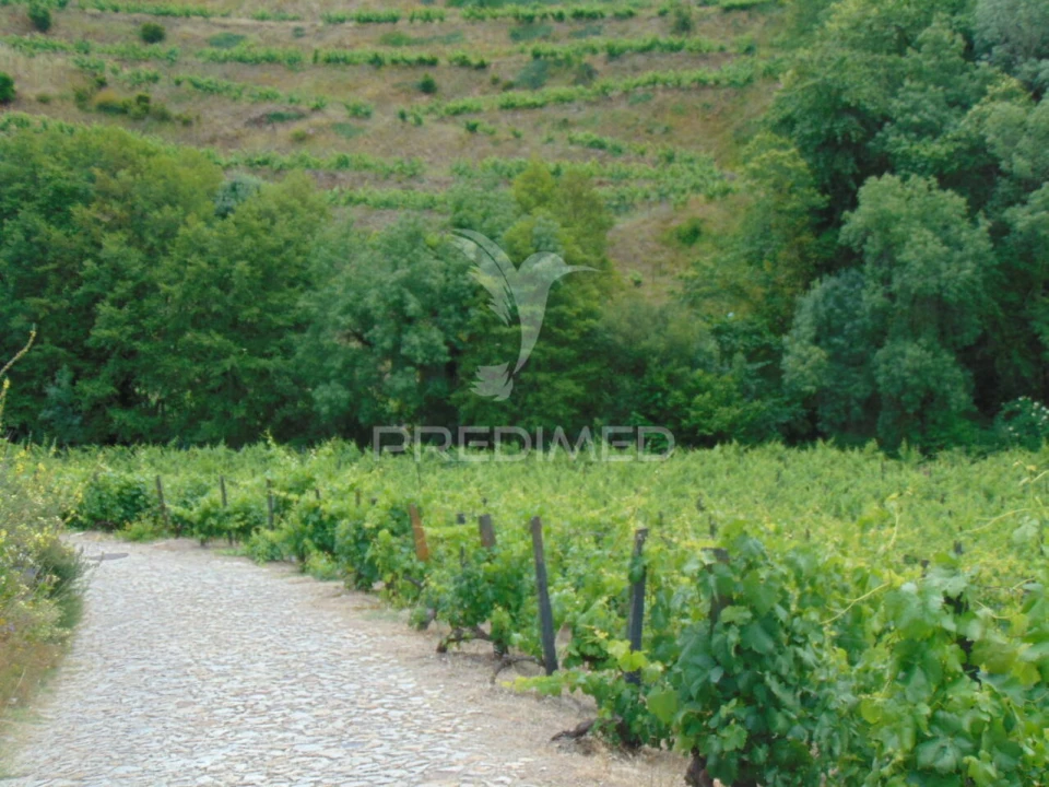 Quinta T0 para Venda em Louredo e Fornelos Foto 18