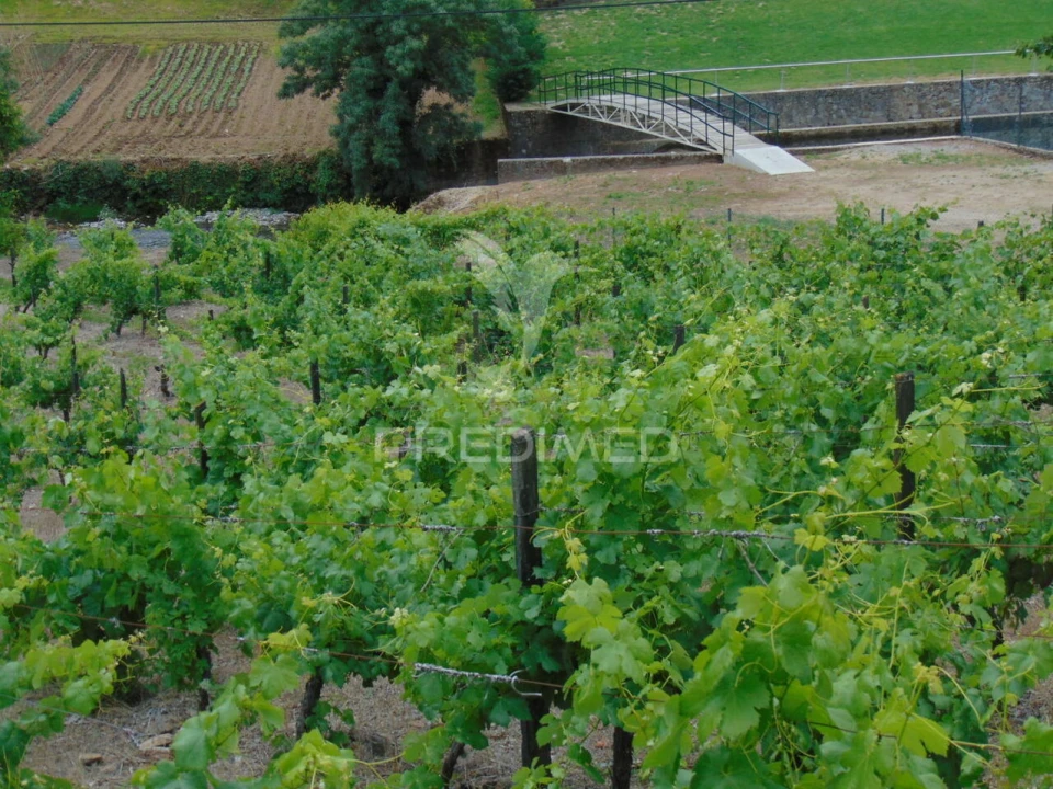 Quinta T0 para Venda em Louredo e Fornelos Foto 20