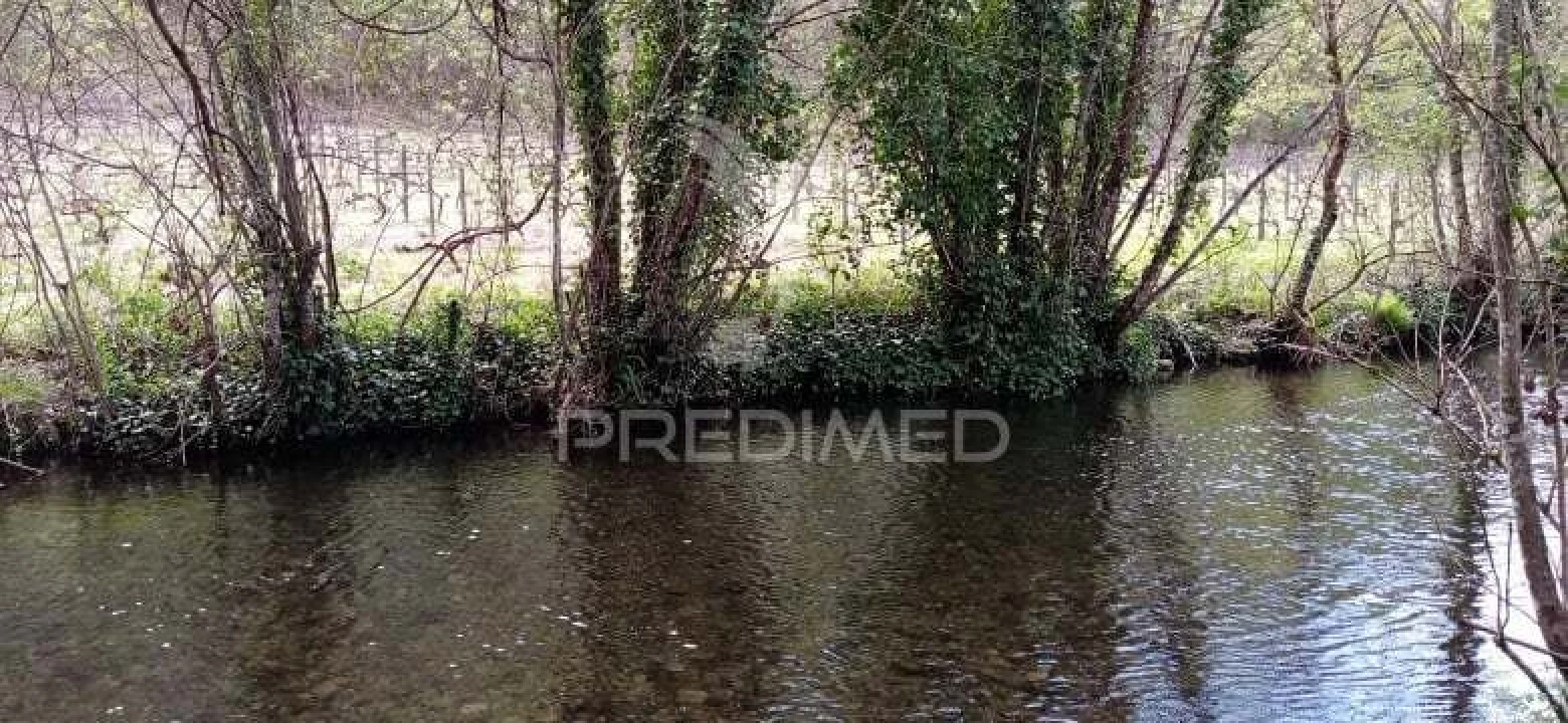 Quinta T0 para Venda em Louredo e Fornelos Foto 31