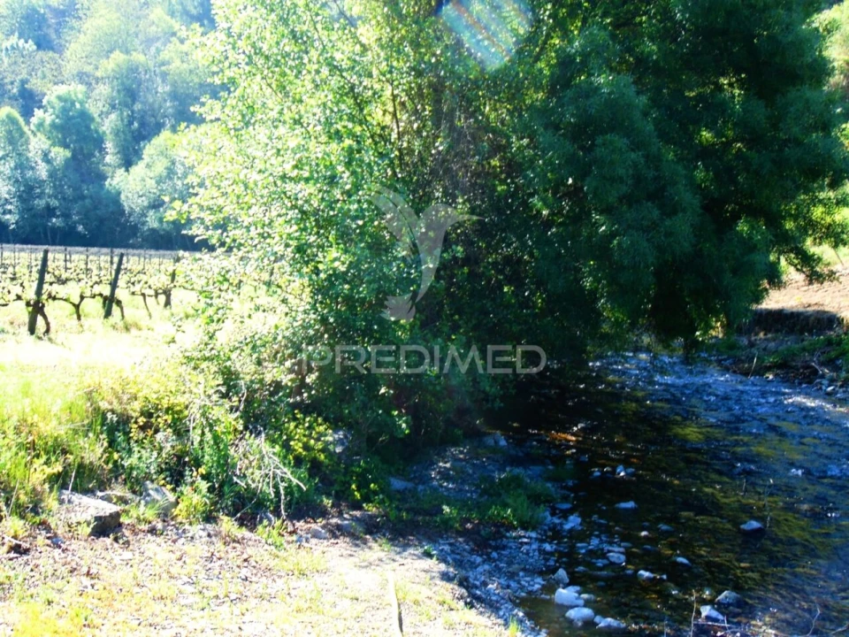 Quinta T0 para Venda em Louredo e Fornelos Foto 26