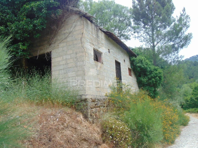 Quinta T0 para Venda em Louredo e Fornelos Foto 7