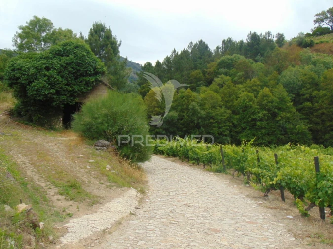 Quinta T0 para Venda em Louredo e Fornelos Foto 4