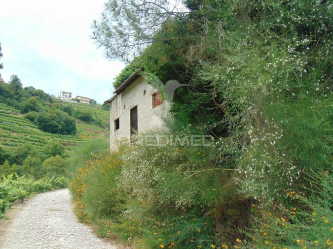Quinta T0 para Venda em Louredo e Fornelos Foto 6