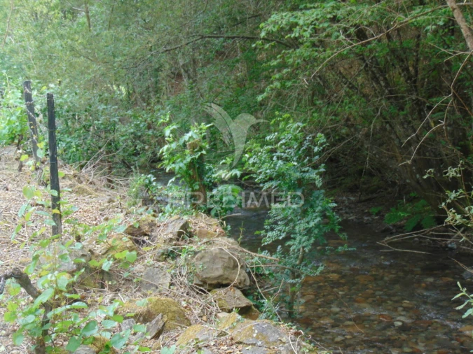 Quinta T0 para Venda em Louredo e Fornelos Foto 28