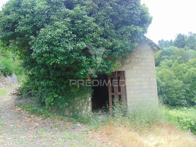 Quinta T0 para Venda em Louredo e Fornelos Foto 8