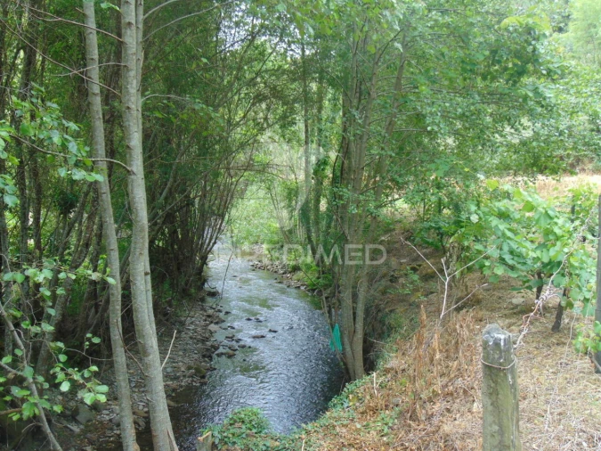 Quinta T0 para Venda em Louredo e Fornelos Foto 27