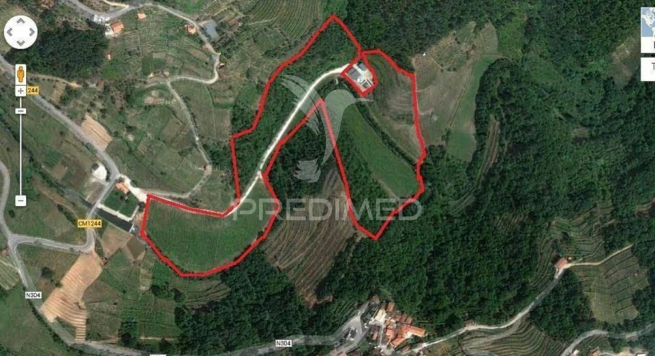 Quinta T0 para Venda em Louredo e Fornelos Foto 29