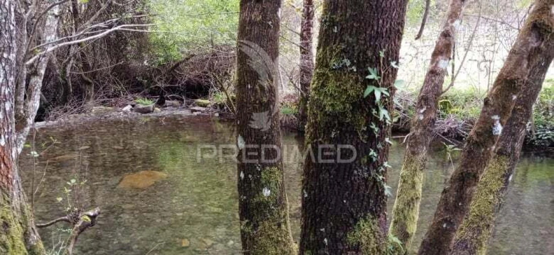 Quinta T0 para Venda em Louredo e Fornelos Foto 32