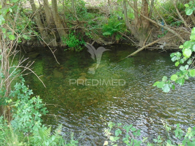 Quinta T0 para Venda em Louredo e Fornelos Foto 25