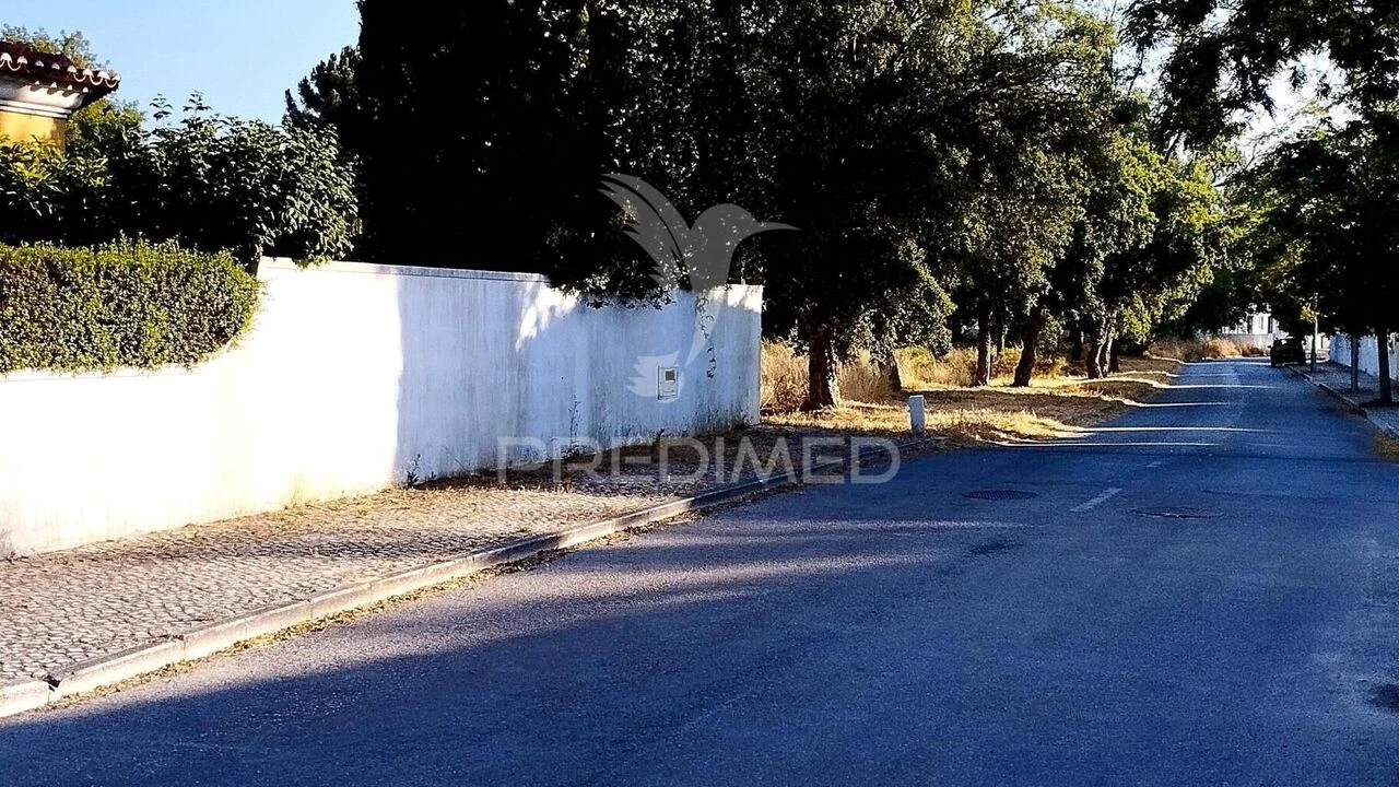 Terreno para Venda em Azeitão (São Lourenço e São Simão) Foto 5