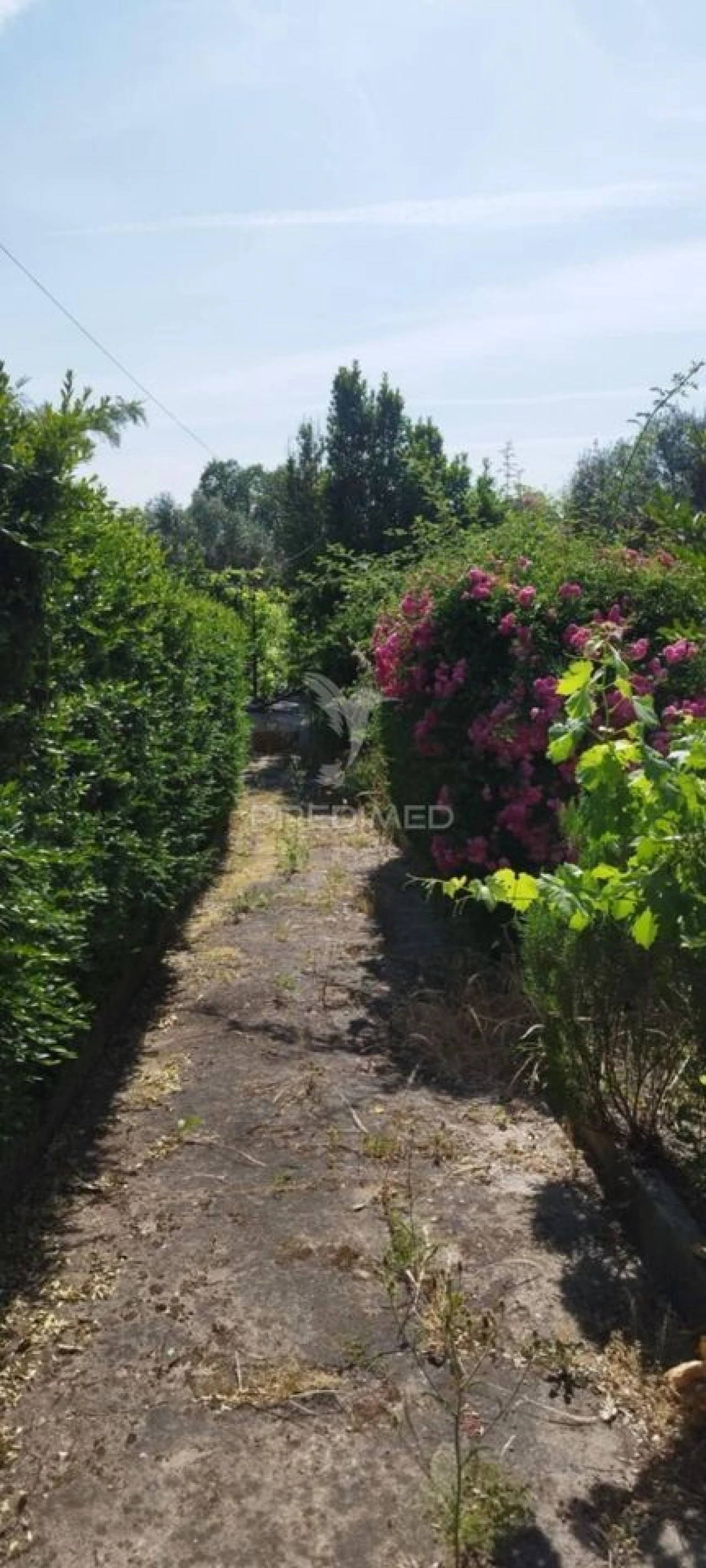 Moradia T8 para Venda em Crato e Mártires, Flor da Rosa e Vale do Peso Foto 12