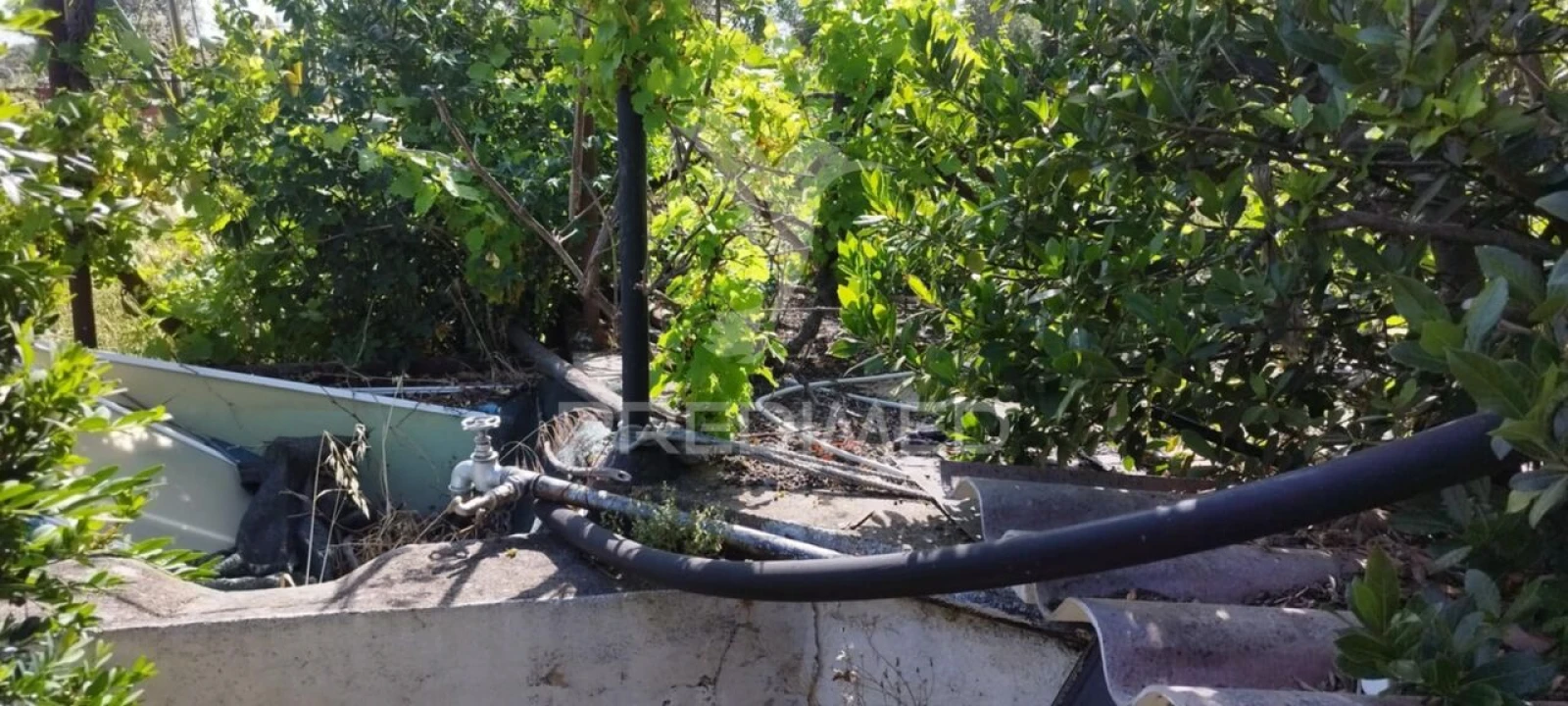 Moradia T8 para Venda em Crato e Mártires, Flor da Rosa e Vale do Peso Foto 34