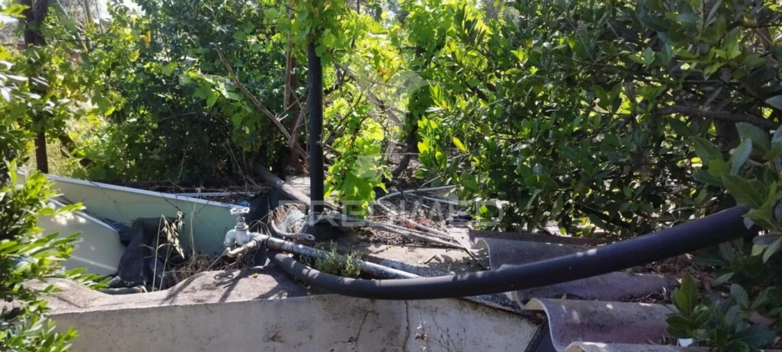 Moradia T8 para Venda em Crato e Mártires, Flor da Rosa e Vale do Peso Foto 34