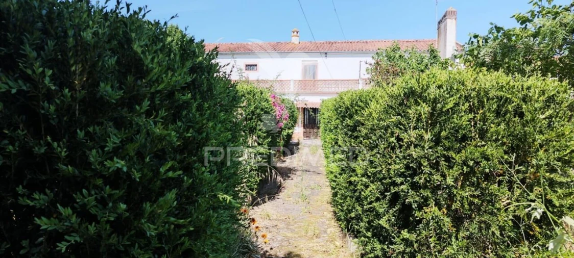 Moradia T8 para Venda em Crato e Mártires, Flor da Rosa e Vale do Peso Foto 1