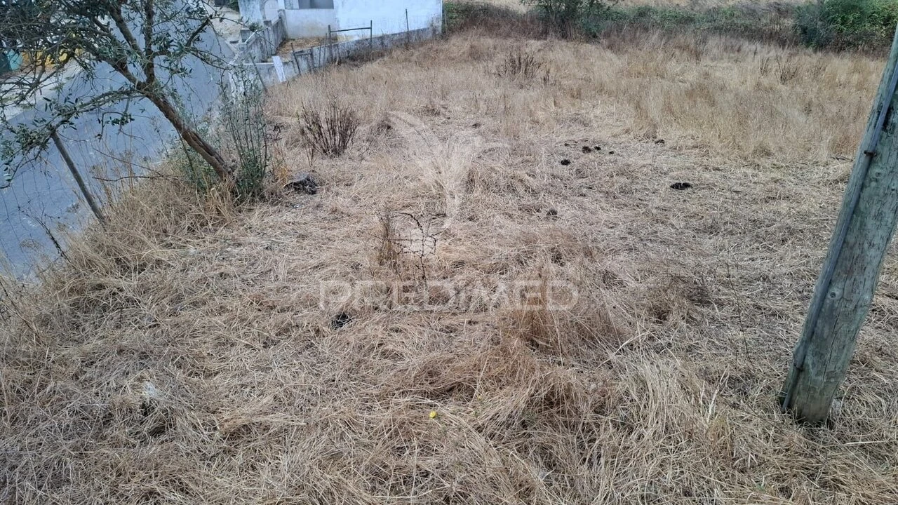 Terreno para Venda em Azoia de Cima e Tremês Foto 5