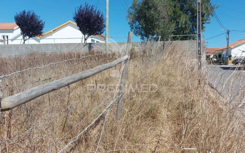 Terreno para Venda em Azoia de Cima e Tremês Foto 3