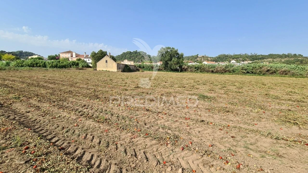 Moradia T0 para Venda em São João da Ribeira e Ribeira de São João Foto 13