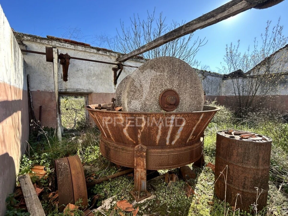 Moradia T0 para Venda em São João da Ribeira e Ribeira de São João Foto 7