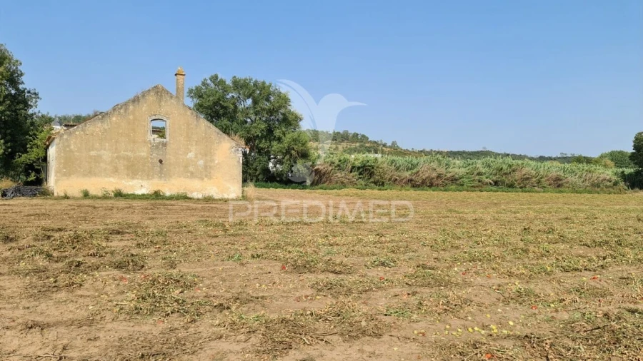 Moradia T0 para Venda em São João da Ribeira e Ribeira de São João Foto 15