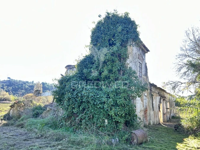 Moradia T0 para Venda em São João da Ribeira e Ribeira de São João Foto 10