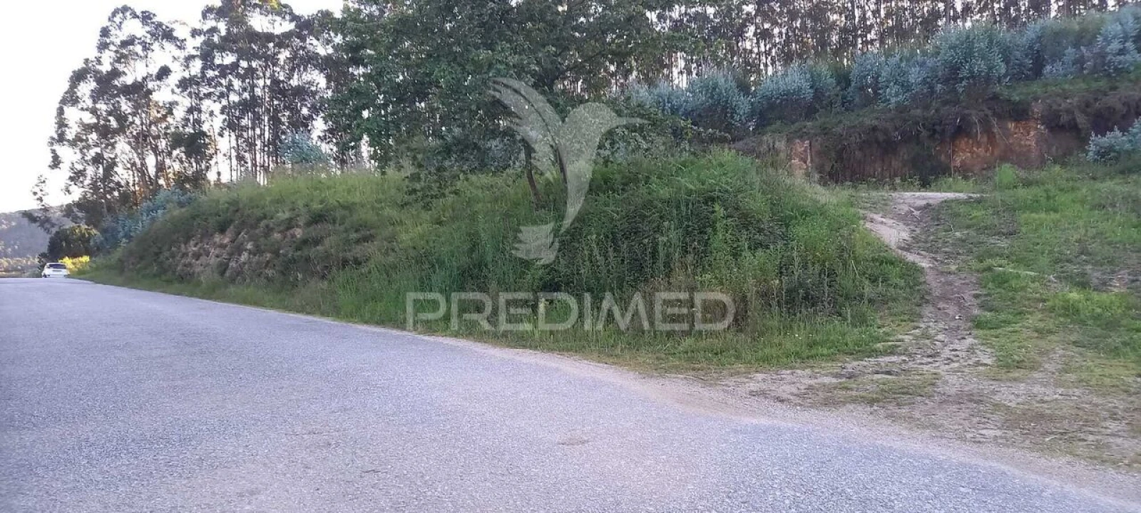 Terreno para Venda em Sande Vila Nova e Sande São Clemente Foto 4