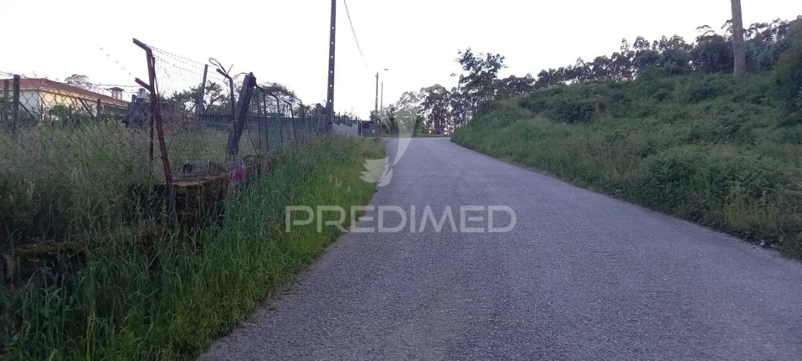 Terreno para Venda em Sande Vila Nova e Sande São Clemente Foto 5