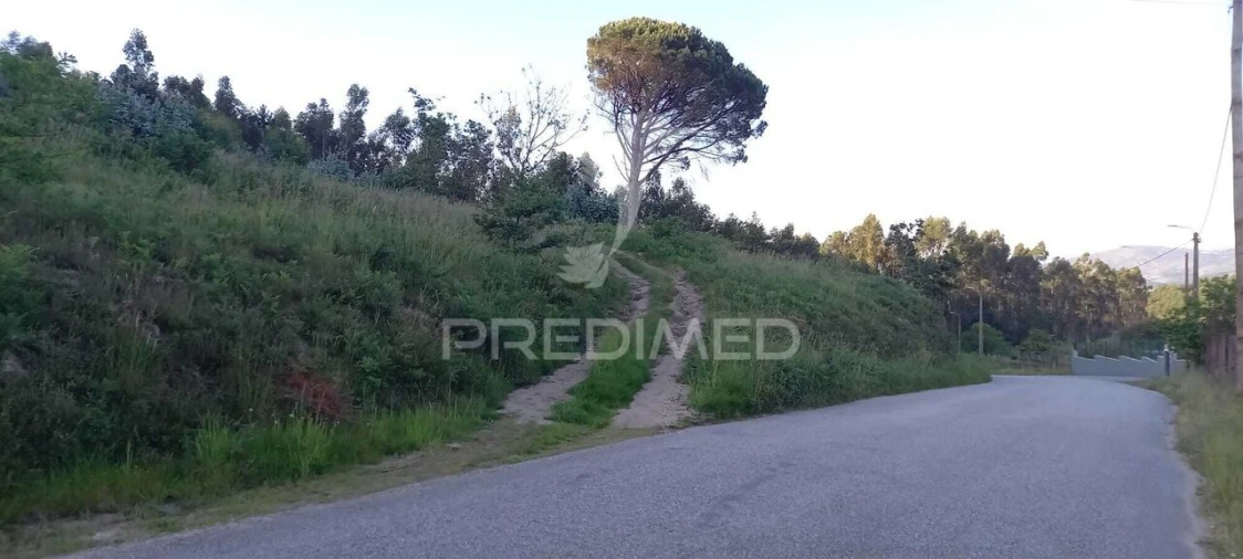 Terreno para Venda em Sande Vila Nova e Sande São Clemente Foto 3