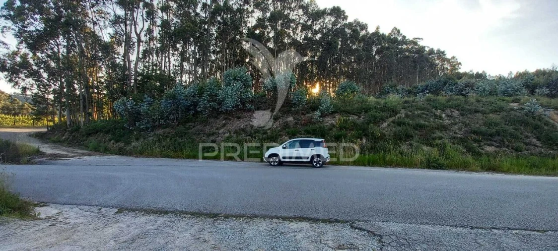 Terreno para Venda em Sande Vila Nova e Sande São Clemente Foto 11