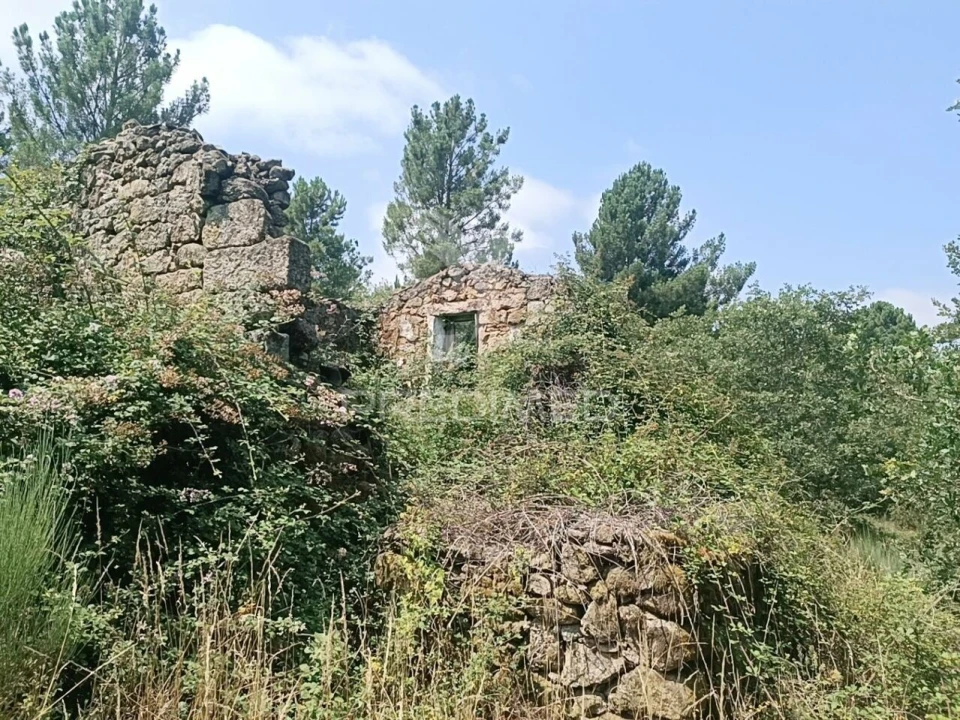 Quinta T2 para Venda em São Pedro e Santa Maria e Vila Boa do Mondego Foto 6