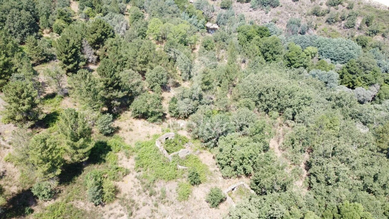 Quinta T2 para Venda em São Pedro e Santa Maria e Vila Boa do Mondego Foto 5