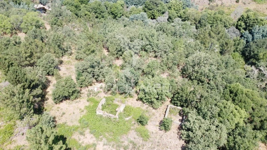 Quinta T2 para Venda em São Pedro e Santa Maria e Vila Boa do Mondego Foto 4
