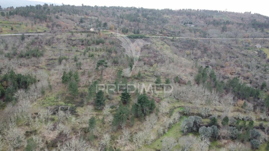 Quinta T2 para Venda em São Pedro e Santa Maria e Vila Boa do Mondego Foto 3