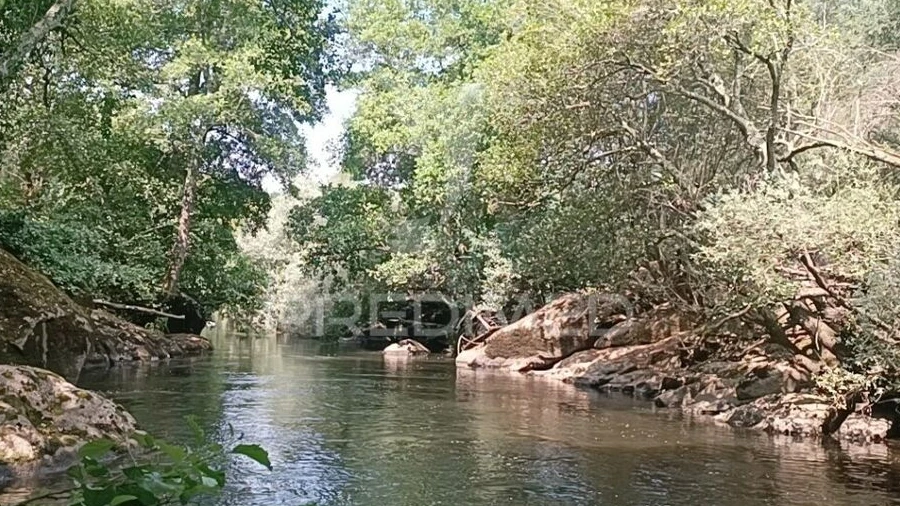 Quinta T2 para Venda em São Pedro e Santa Maria e Vila Boa do Mondego