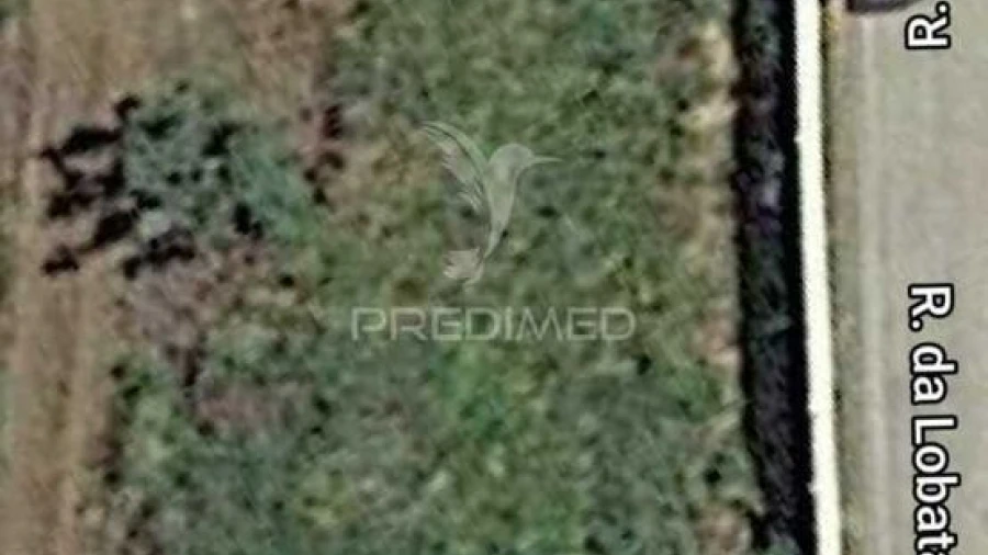 Terreno para Venda em Salvada e Quintos