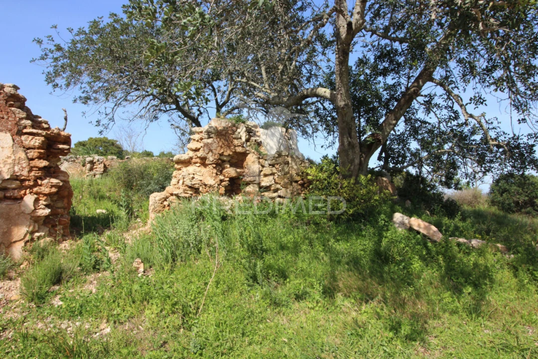 Terreno para Venda em Algoz e Tunes Foto 1