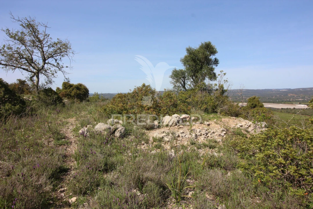 Terreno para Venda em Algoz e Tunes Foto 11