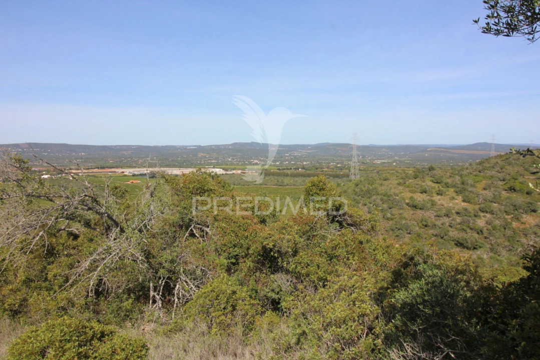 Terreno para Venda em Algoz e Tunes Foto 14