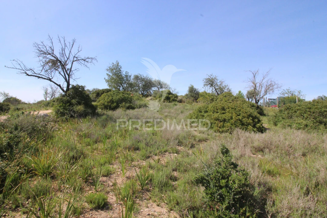 Terreno para Venda em Algoz e Tunes Foto 7