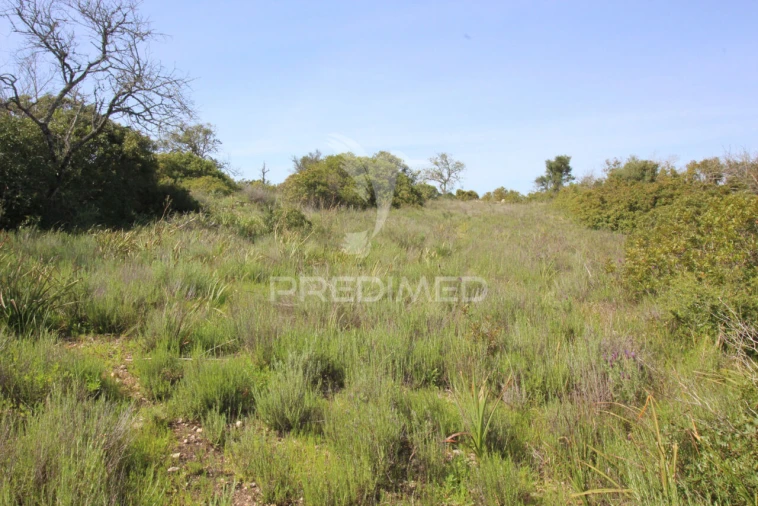 Terreno para Venda em Algoz e Tunes Foto 9