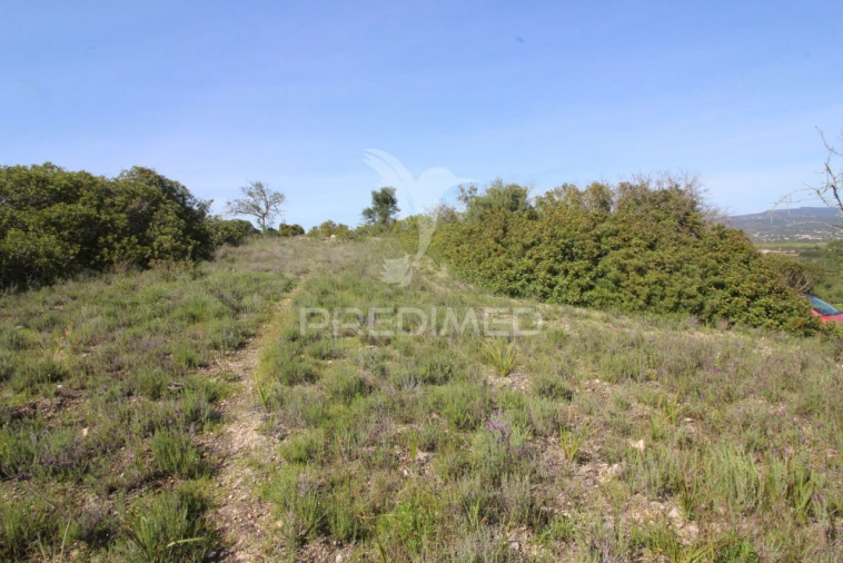 Terreno para Venda em Algoz e Tunes Foto 16