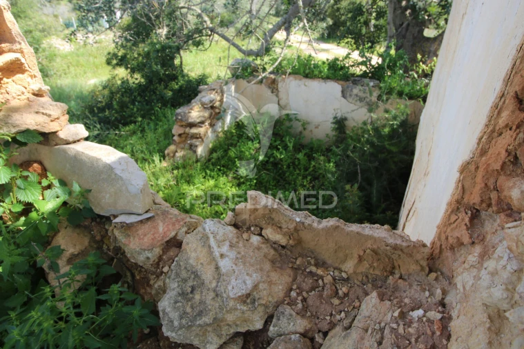 Terreno para Venda em Algoz e Tunes Foto 3