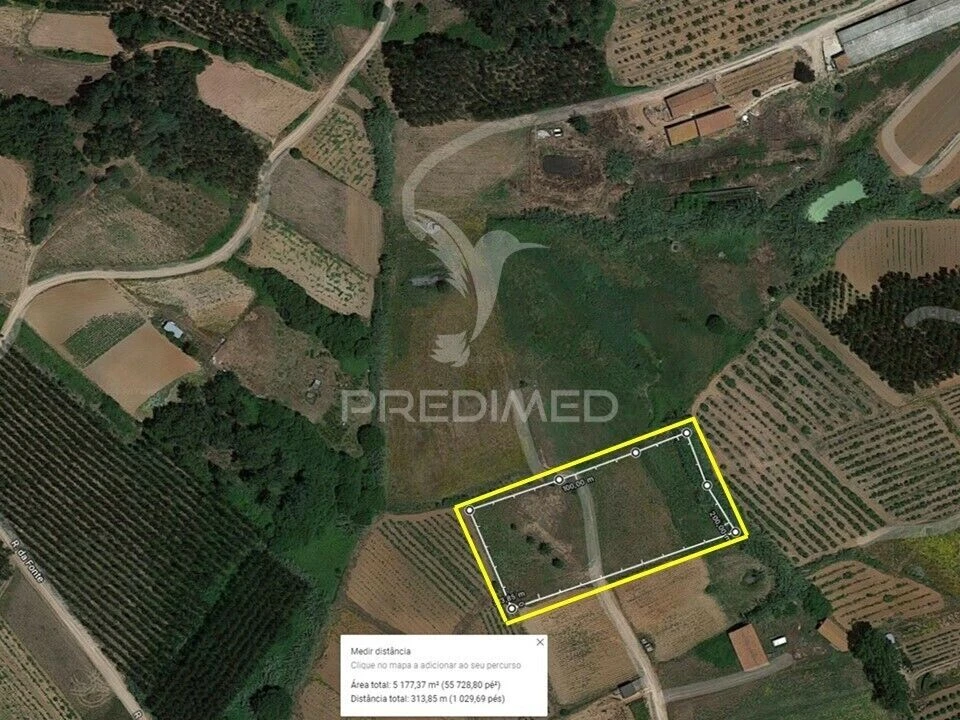 Terreno para Venda em Miragaia e Marteleira Foto 2